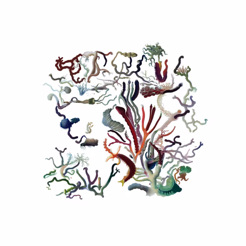 Item #511345953 Media