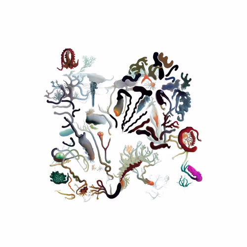 Item #4132265411 Media