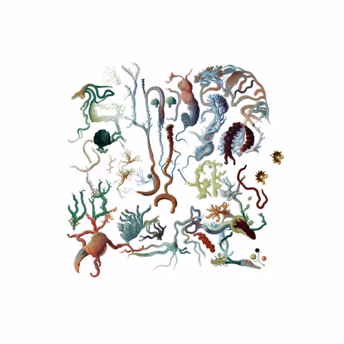 Item #382435907 Media