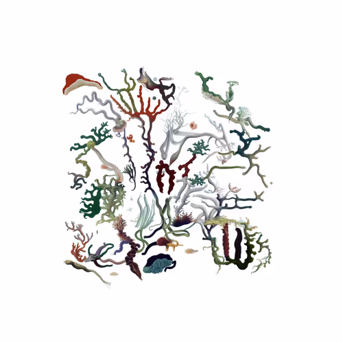 Item #3561284295 Media