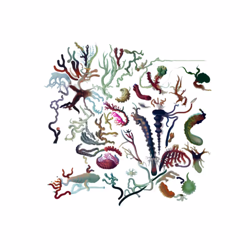 Item #1048794056 Media