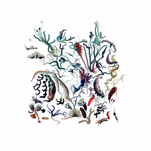 Item #2619693741 Media