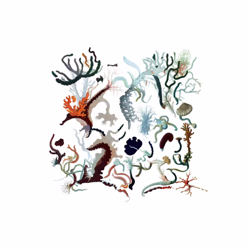 Item #810046741 Media