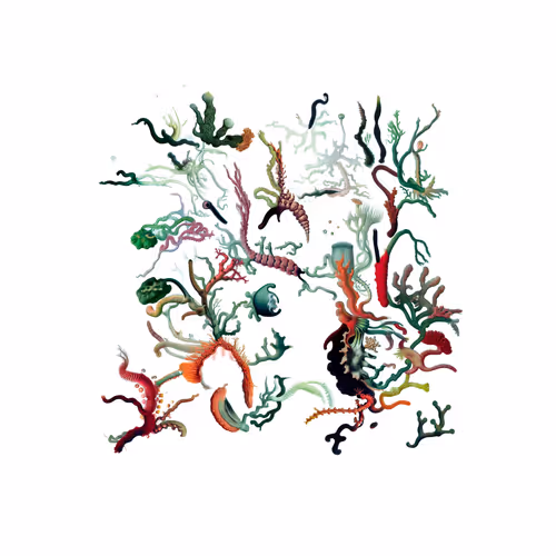 Item #969811930 Media