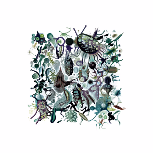 Item #3555773805 Media