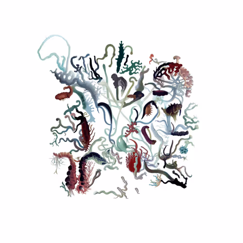 Item #2849014403 Media