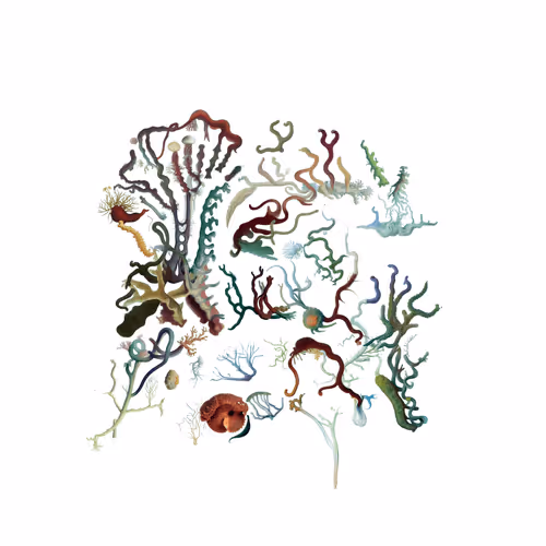 Item #2300323780 Media