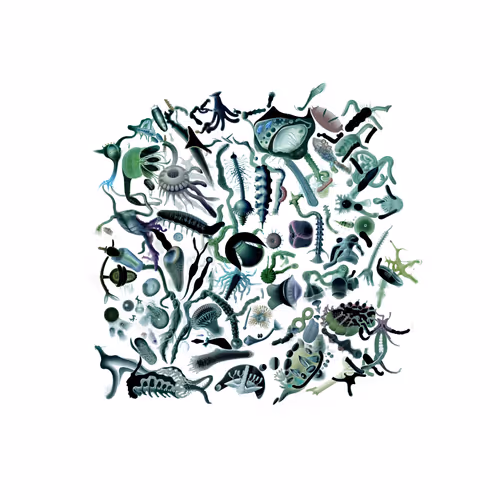 Item #764916519 Media