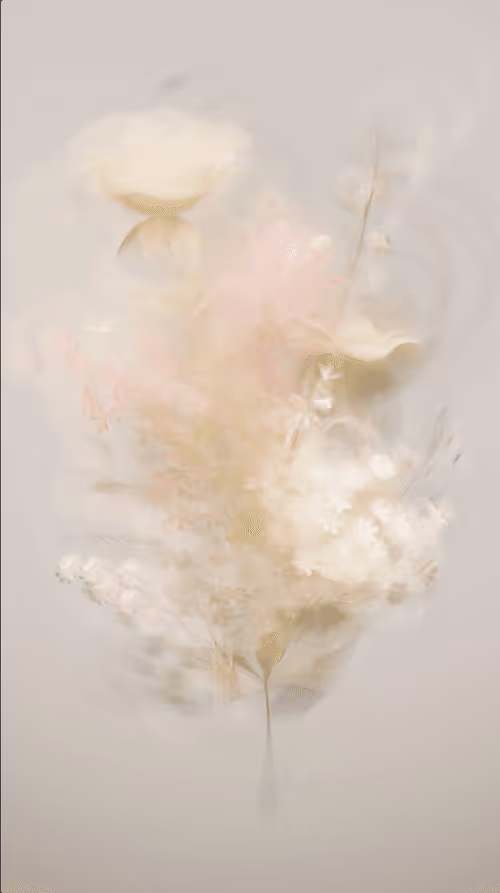 Item #573000001 Media