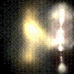 Item #15000029 Media