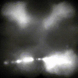 Item #15000004 Media