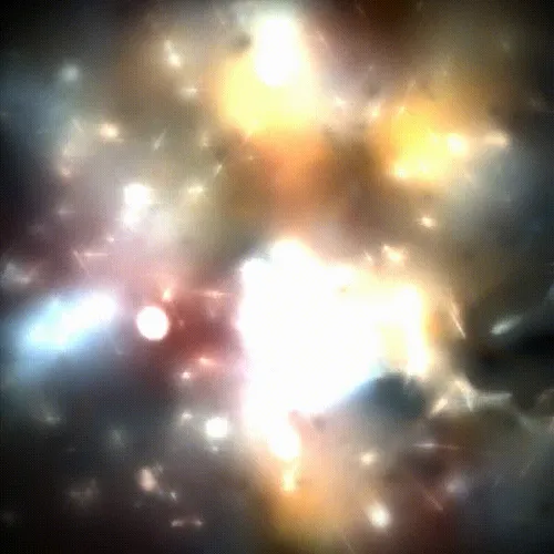 Item #15000050 Media