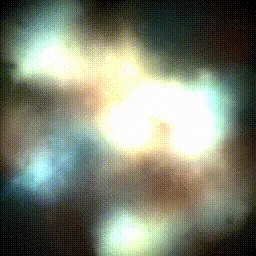 Item #15000007 Media