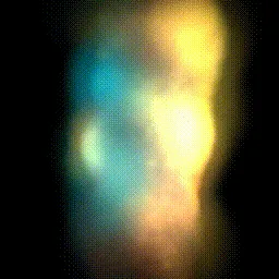 Item #15000045 Media