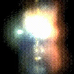 Item #15000040 Media