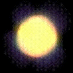 Item #15000035 Media