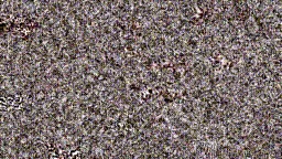 Item #4000055 Media