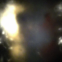 Item #15000023 Media