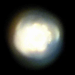 Item #15000031 Media