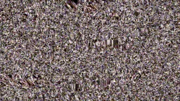Item #4000042 Media