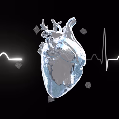 Item #330 Media