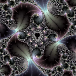 729