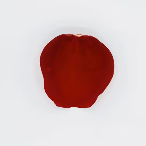 100,000 Rose Petals