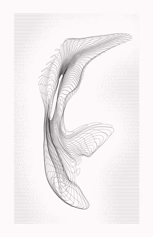 Item #12000010 Media