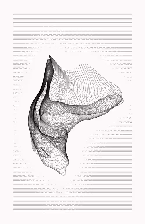 Item #12000036 Media