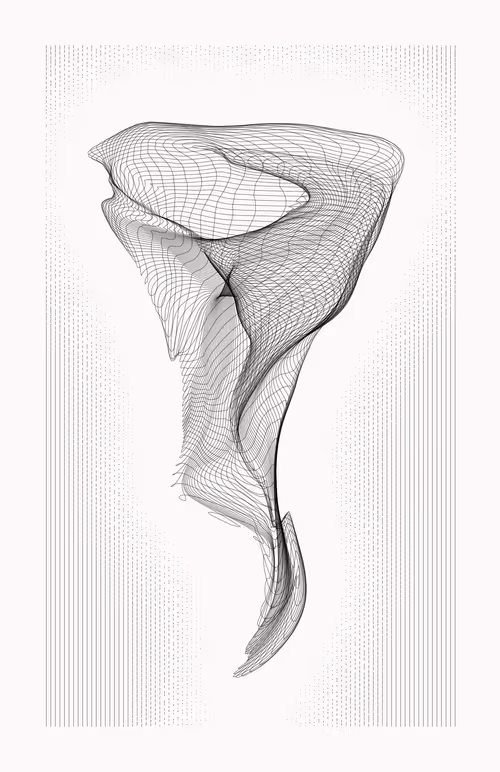 Item #12000073 Media