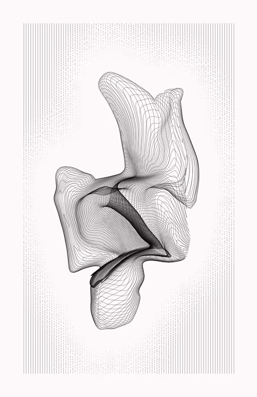 Item #12000030 Media