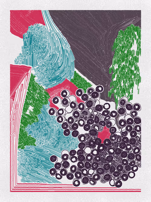 Item #19000116 Media