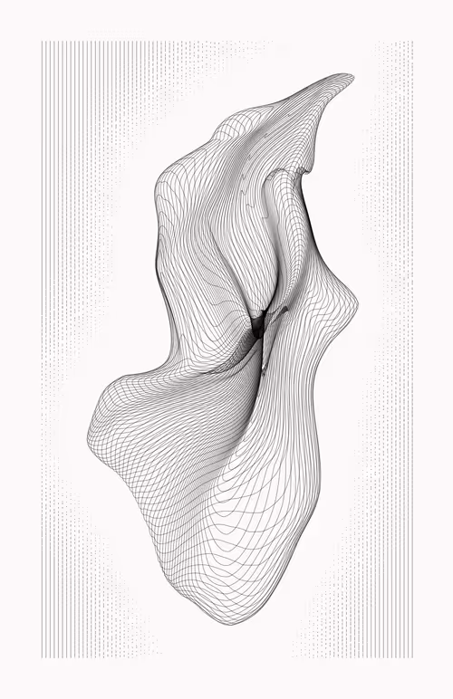 Item #12000021 Media