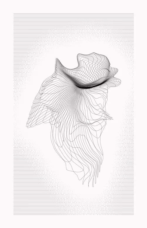 Item #12000055 Media