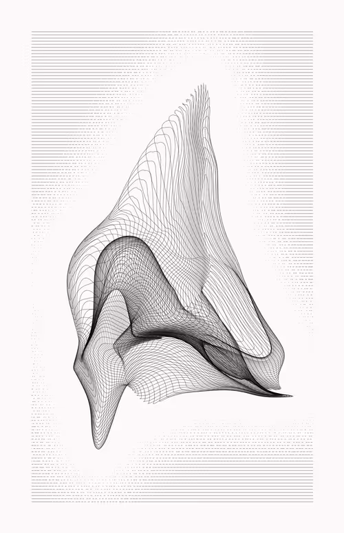 Item #12000142 Media