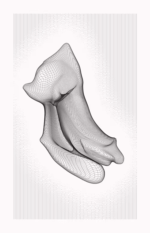 Item #12000026 Media