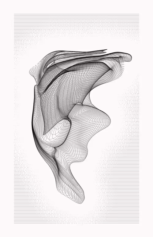 Item #12000123 Media