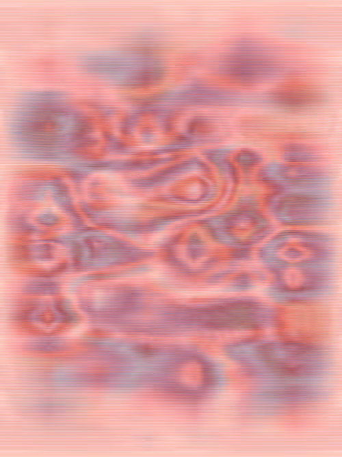 Item #17000019 Media