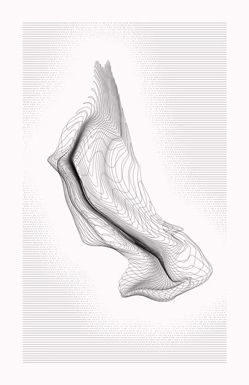 Item #12000104 Media