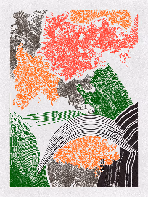 Item #19000159 Media