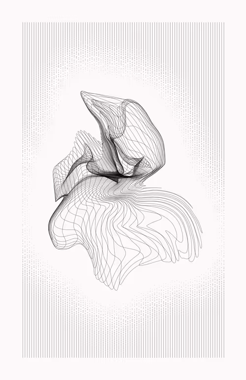 Item #12000058 Media