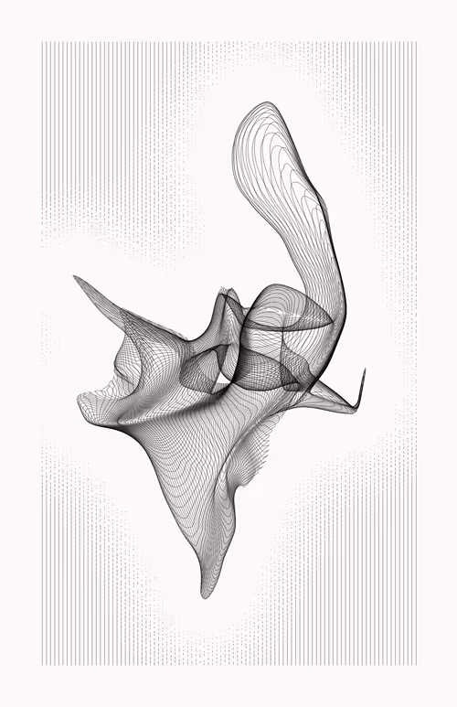 Item #12000082 Media