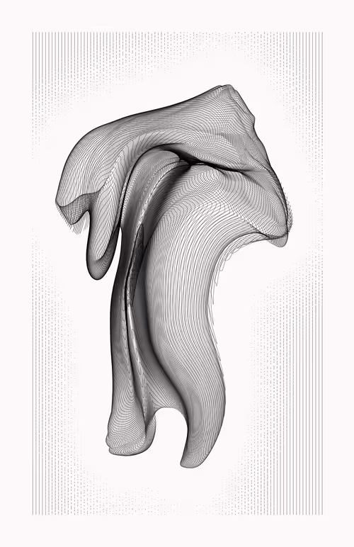 Item #12000044 Media