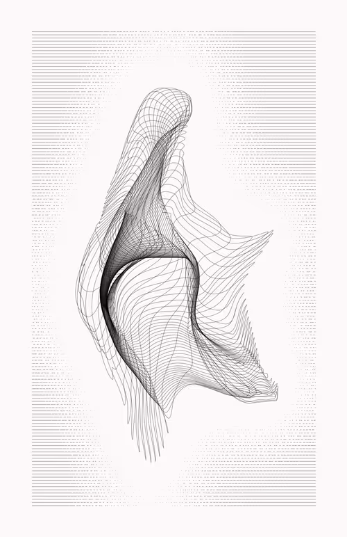 Item #12000074 Media