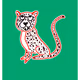 Charming Cheetah