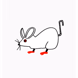 7816