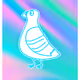 Perspective Pigeon