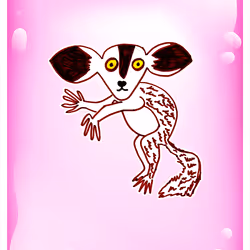 562
