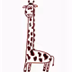 Genuine Giraffe