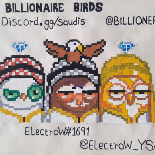 BILLIONAIRE BIRDS V2